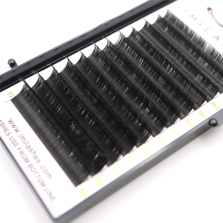 Individual eyelash extensions and eyelash applicator-D